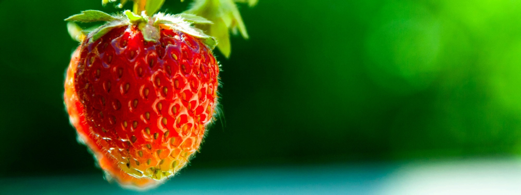 Strawberry Tea*Saturday 27th June*More Info