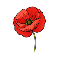 Poppy